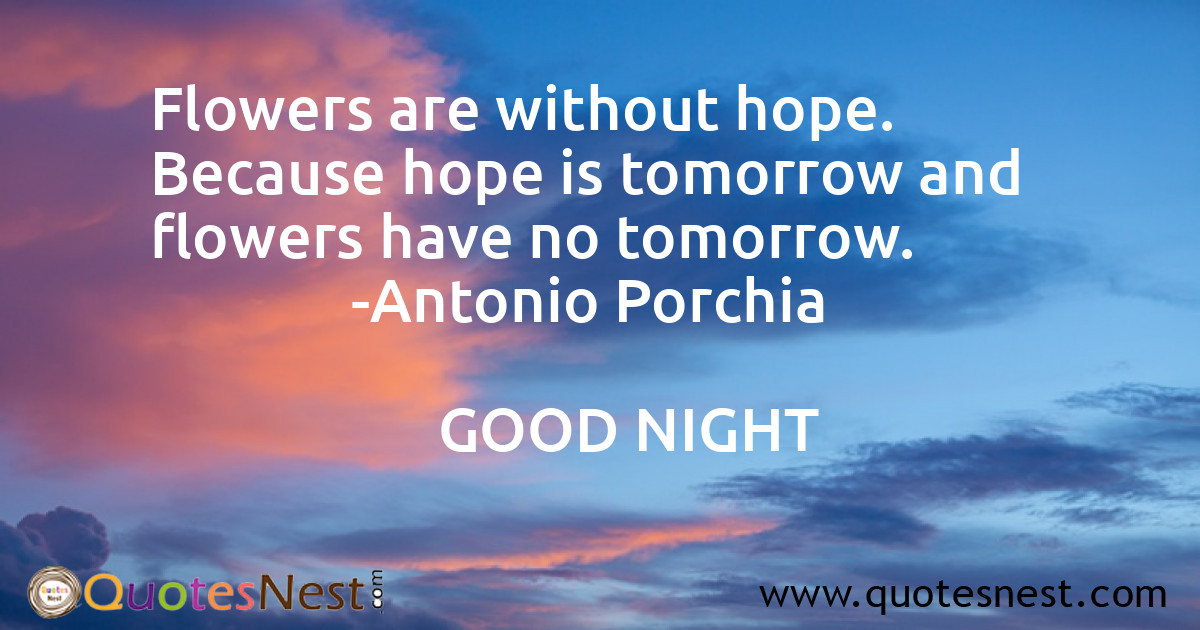 Hope_Antonio Porchia_4_small